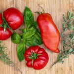 Immagine di pomodori e basilico coltivati insieme in un orto, evidenziando i benefici della consociazione.