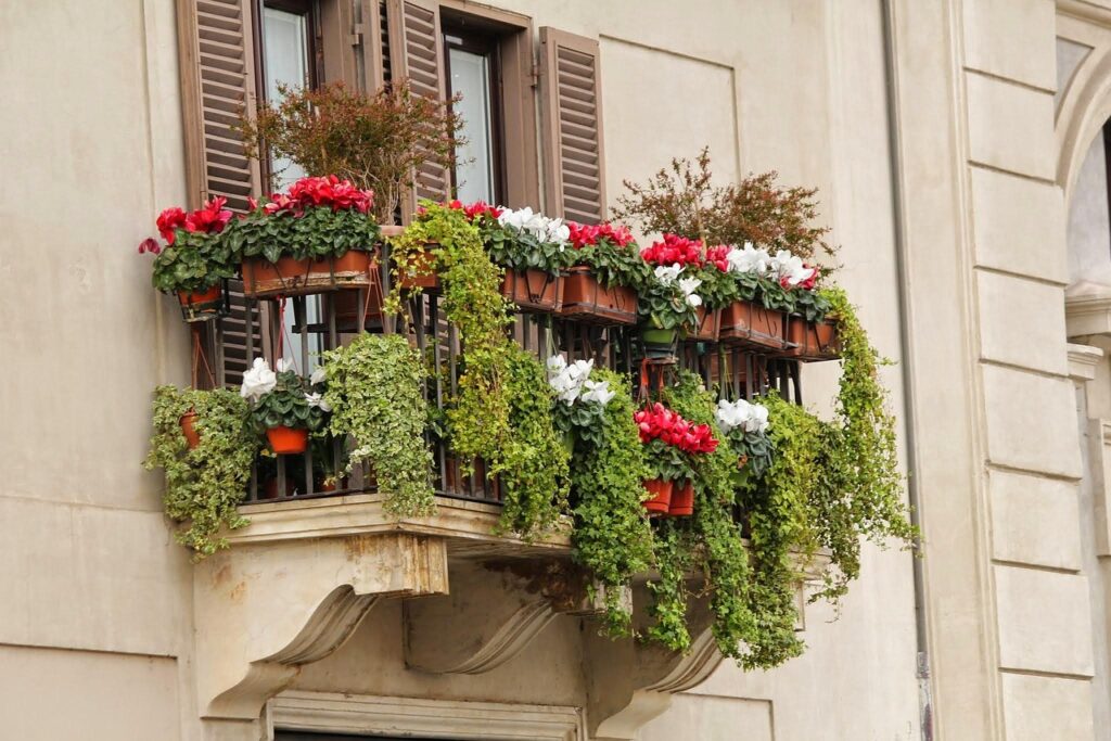 Il segreto per un balcone fiorito tutto l’anno: questa pianta si pianta ad aprile e non smette mai di stupire!