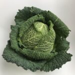 Cavolo nero toscano fresco su sfondo rustico, evidenziando le sue foglie scure e lucide.