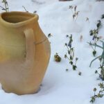 Giardiniere che pota arbusti in un giardino invernale, preparandolo per la primavera.