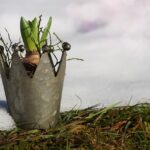 Giardino d'inverno con piante protette da coperture e materiali isolanti contro il freddo.