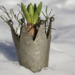 Piante in vaso coperte con teli protettivi per difenderle dal gelo notturno.