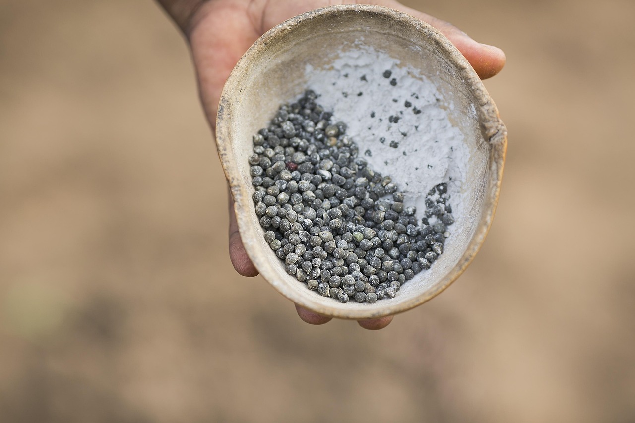 Concime granulare versato su terreno fertile in un giardino, pronto per la fertilizzazione delle piante.