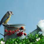 Uccellini che si nutrono in un giardino, con mangiatoie posizionate strategicamente.