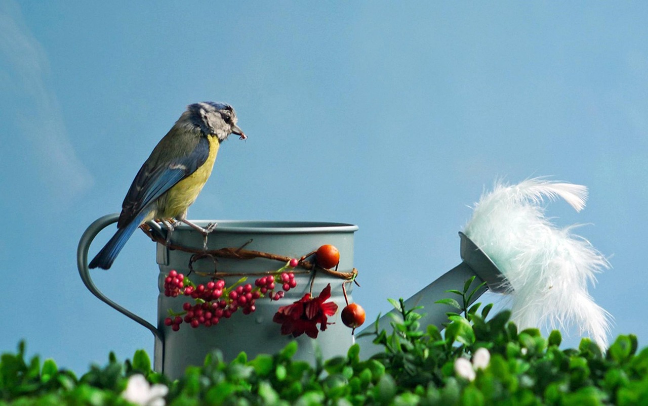 Uccellini che si nutrono in un giardino, con mangiatoie posizionate strategicamente.
