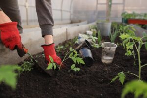 Preparazione del terreno per l'orto a marzo con attrezzi da giardinaggio e terreno lavorato.