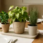 Centrotavola con piante vere: idee facili per decorazioni durature che stupiscono gli ospiti