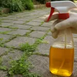 Brucia le radici in 20 minuti: il diserbante naturale che funziona davvero