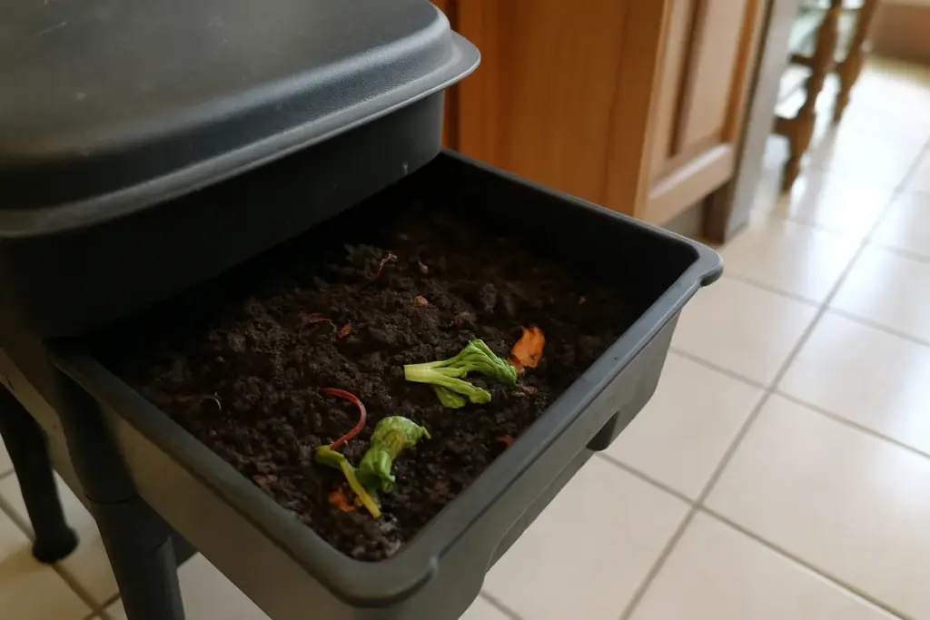 Vermicidi o alleati? Cosa sono davvero i puntini bianchi nel tuo vermicompost