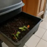 Vermicidi o alleati? Cosa sono davvero i puntini bianchi nel tuo vermicompost