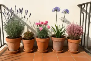 Gelo e sole a piene mani: 5 piante da balcone che reggono senza scuse