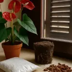 Anthurium che smette di fiorire: il rinvaso nel momento sbagliato blocca tutto