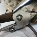 Rami che si incrociano dentro un arbusto: il dettaglio da correggere prima che la chioma diventi troppo fitta
