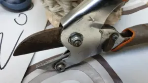 Rami che si incrociano dentro un arbusto: il dettaglio da correggere prima che la chioma diventi troppo fitta