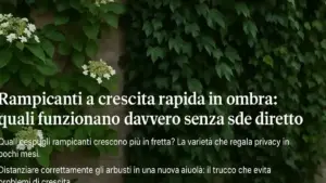 Arbusto vicino a un pluviale: perché dopo la pioggia un terreno fradicio in un solo punto può falsare la lettura dell’intera aiuola