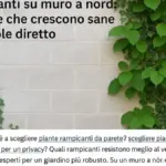 Sempreverde fitto vicino a una parete: come controllare il lato interno senza confondere ombra naturale e vero diradamento