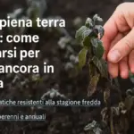 Buca di impianto arricchita solo sul fondo: perché un terreno troppo diverso può ostacolare l’attecchimento invece di aiutare