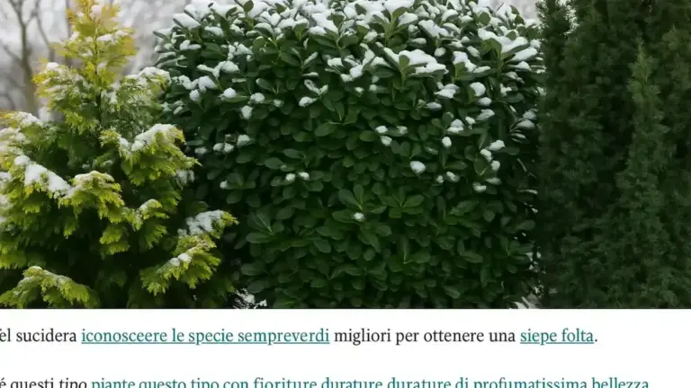 Siepe mista con bacche in autunno: perché rifinirla tutta insieme può togliere più valore di quanto aggiunga ordine